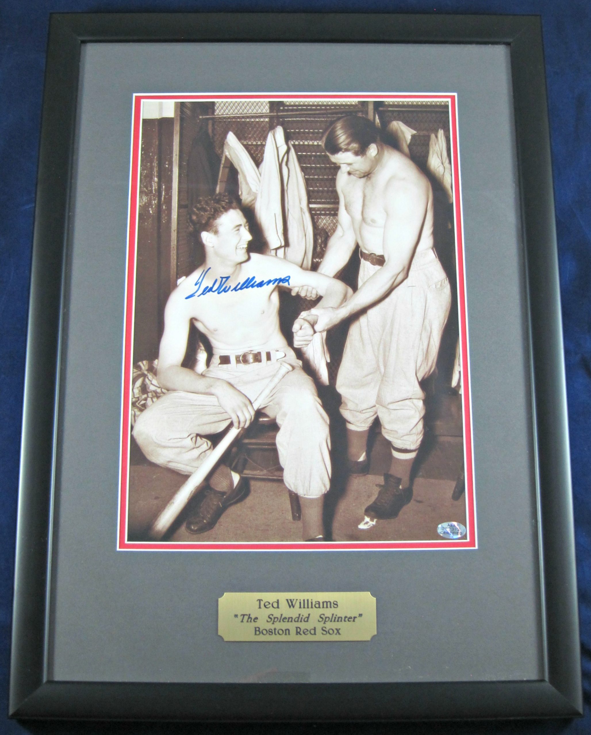 Ted Williams Autographed Display